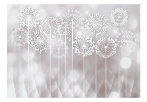 Fototapeta - Jasna, Dmuchawce, Kwiaty Fototapeta - Jasna, Dmuchawce, Kwiaty