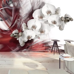 Fototapeta - Orchidea, Czerwona