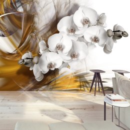Fototapeta - Orchidea, Żółta, Modern