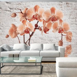 Fototapeta - Pomarańczowa Orchidea