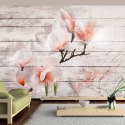 Fototapeta - Magnolia, Drewno Vintage