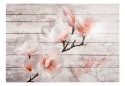 Fototapeta - Magnolia, Drewno Vintage