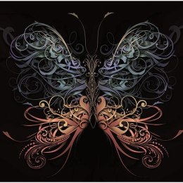 Fototapeta - Abstrakcyjny motyl
