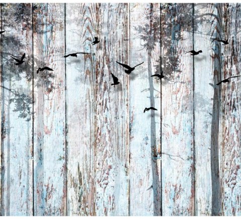 Fototapeta - Natura, Drewno, Deski