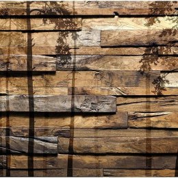 Fototapeta - Drzewa, Drewno, Natura