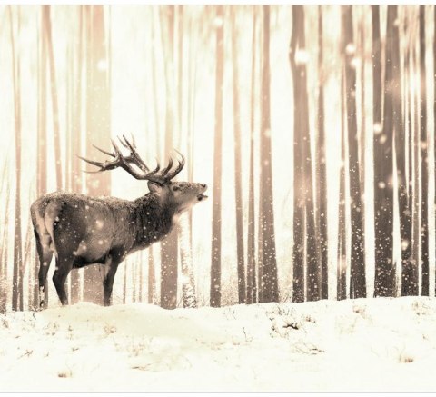 Fototapeta - Jeleń na śniegu - sepia Fototapeta - Jeleń na śniegu - sepia