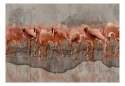 Fototapeta - Malowane Flamingi, Szara
