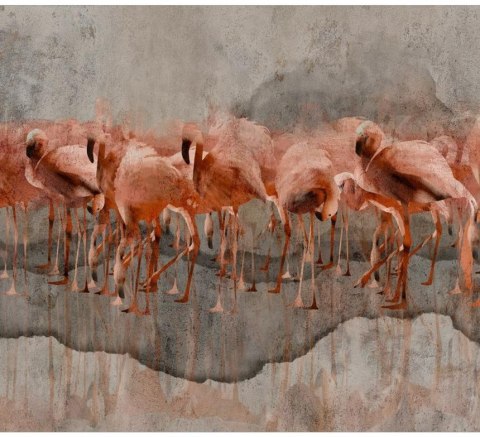 Fototapeta - Malowane Flamingi, Szara Fototapeta - Malowane Flamingi, Szara