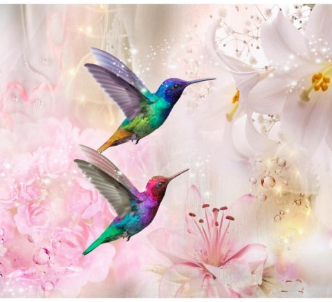 Fototapeta - Kolorowe kolibry, Róż Fototapeta - Kolorowe kolibry, Róż