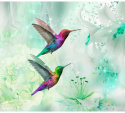 Fototapeta - Kolorowe kolibry, Turkus