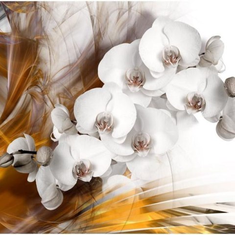 Fototapeta - Orchidea, Żółta, Modern Fototapeta - Orchidea, Żółta, Modern